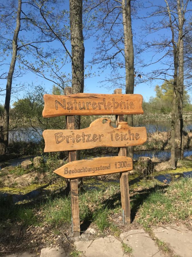 Ferienwohnungen Marita Salzwedel Buitenkant foto